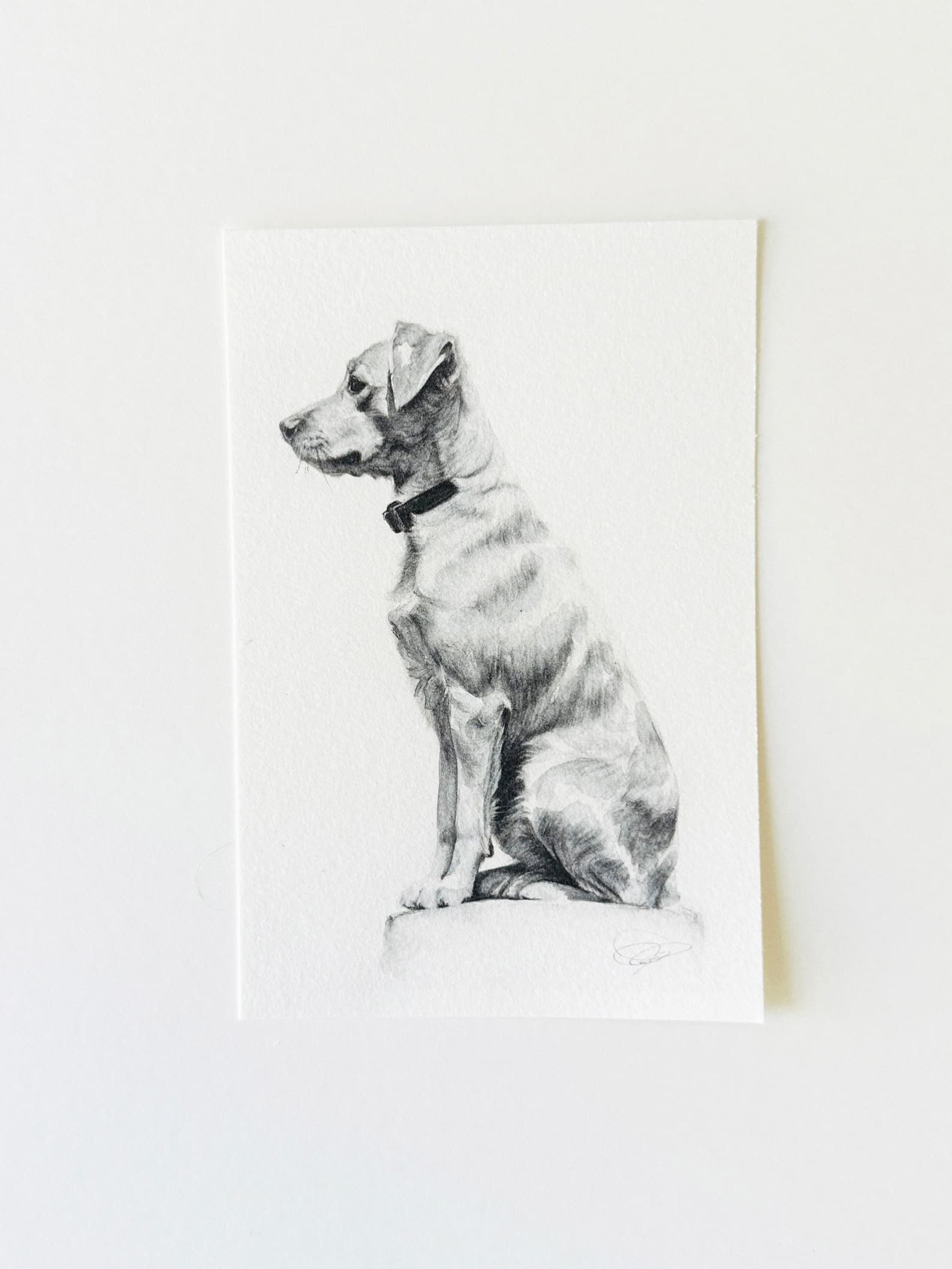 Hand-Drawn Pet Portrait — Watercolor Pencil